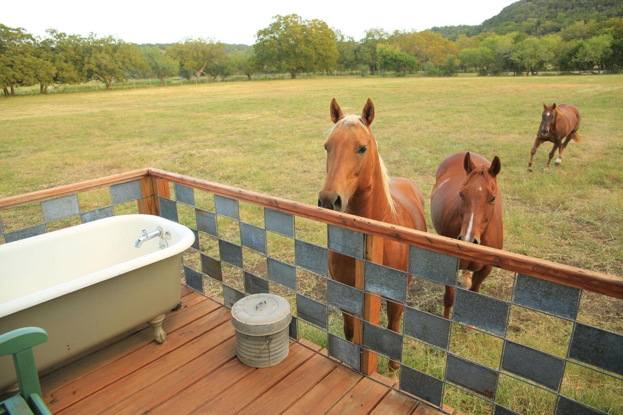 Montesino Ranch Lodging Wimberley Exterior foto