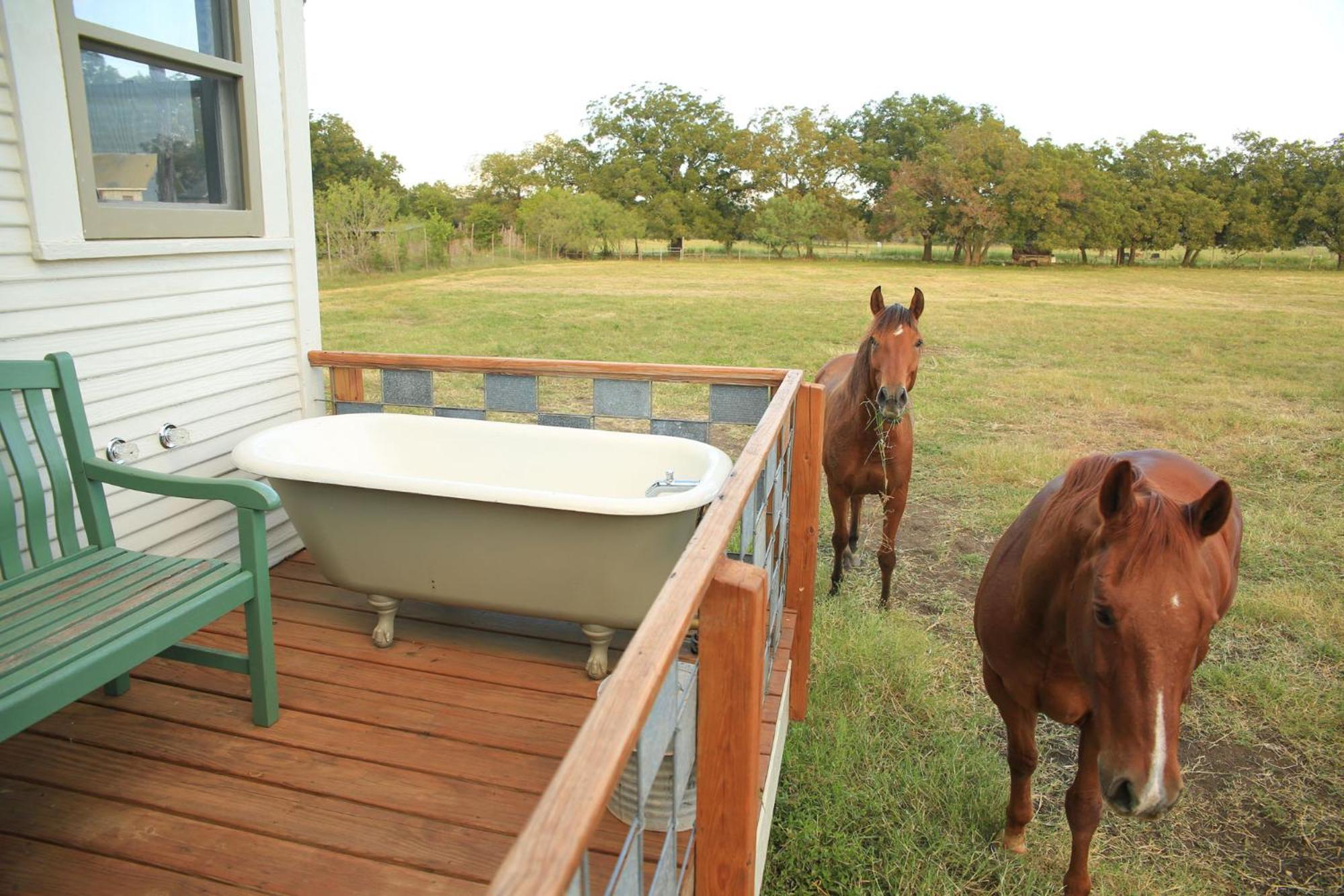 Montesino Ranch Lodging Wimberley Exterior foto